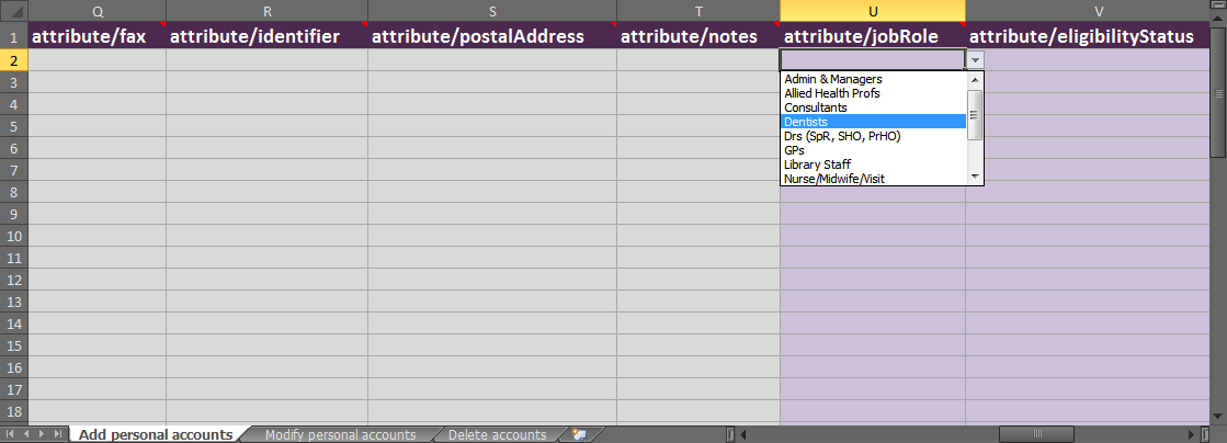 Spreadsheet template, showing a drop-down list of options in the column 'Attribute - job role'.
